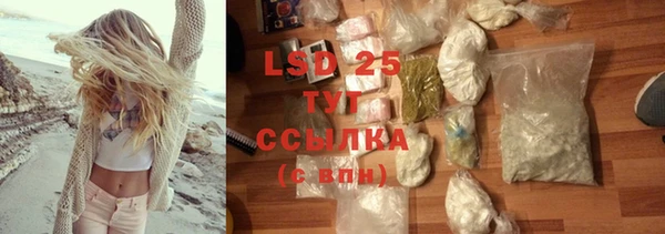 стаф Богданович