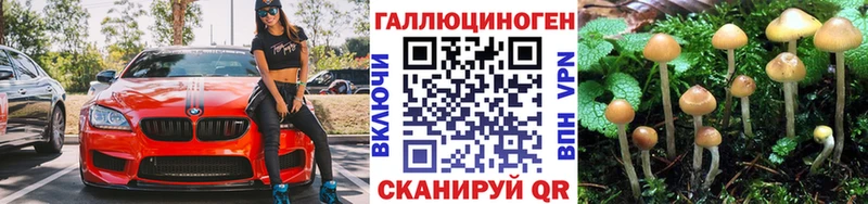Купить закладки  Улан-Удэ  Галлюциногенные грибы прущие грибы 